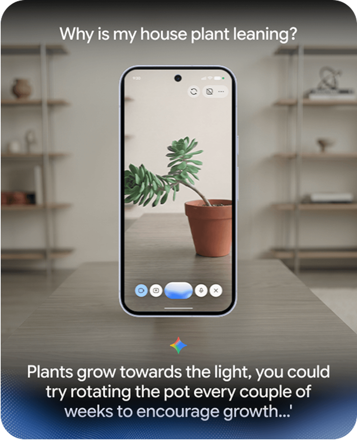 The Google Pixel 11 device showing a house plant on screen.