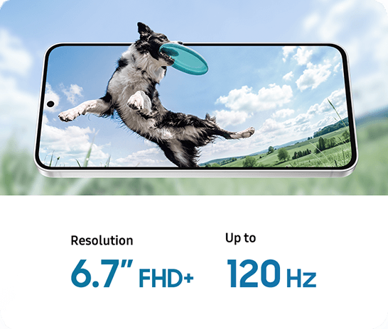 Front view of Galaxy S26 FE in landscape orientation and slightly tilted back. The display shows a dog catching a frisbee mid-air. The dog's head appears to extend beyond the edge of the screen, while the blurred background continues the image to emphasize the device's immersive display. Resolution 6.7 inch FHD+. Up to 120Hz.